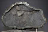 Amazing Quartz Geode Display on Stand - Spectacular #351499-4